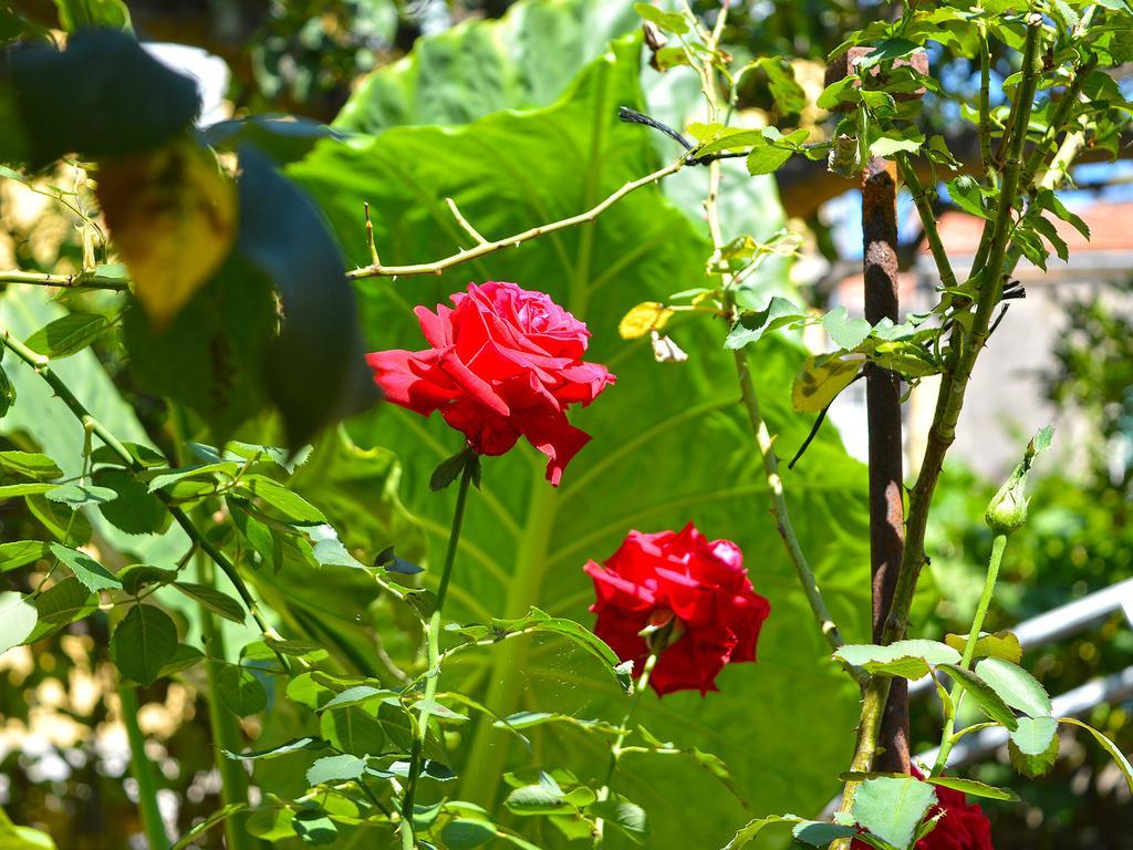 The Secret Garden Relais Hotel Piano di Sorrento Exterior foto